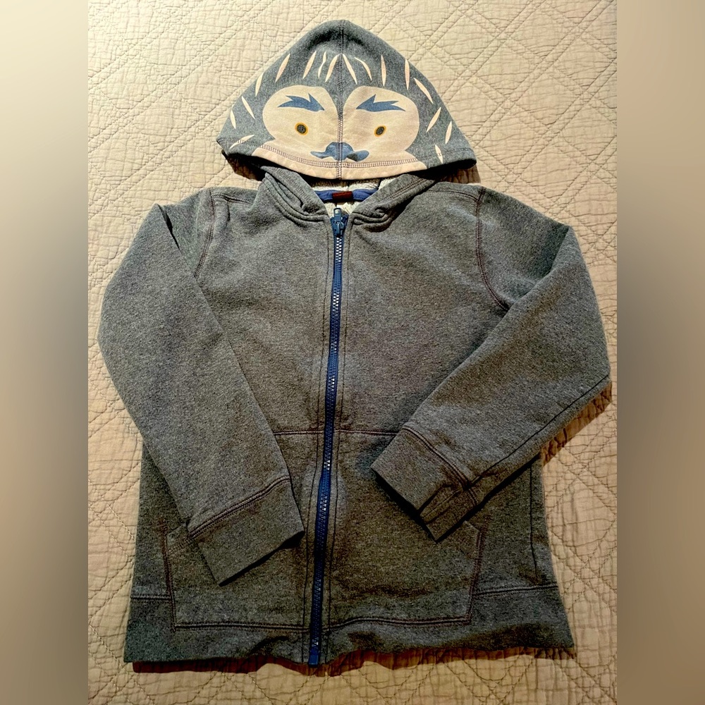 The Tea Collection size 8 boys hoodie.